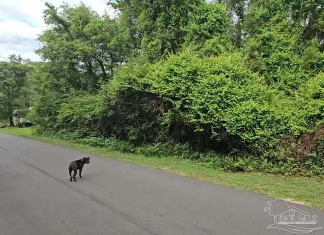 a view of a two chair and a table