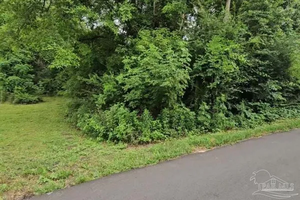 $25,000 | 70 Juniper Street, McDavid, FL 32568