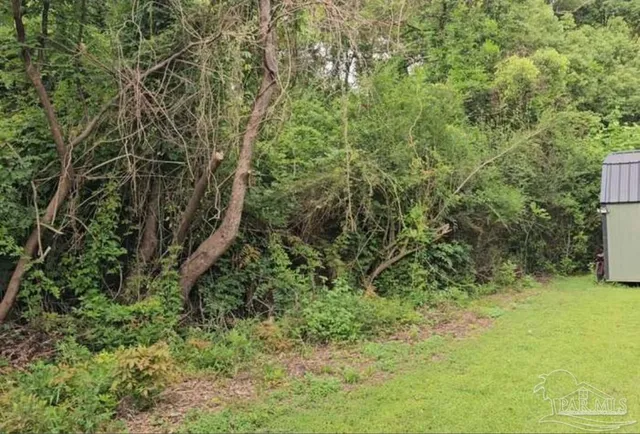 a view of a yard with a tree