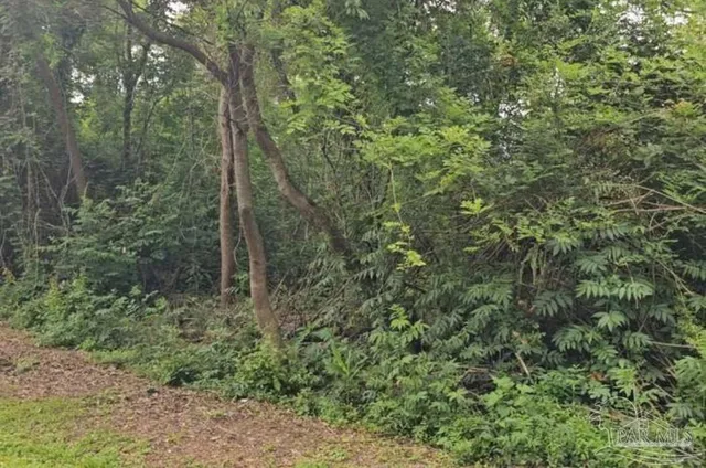 a view of a forest with trees and houses