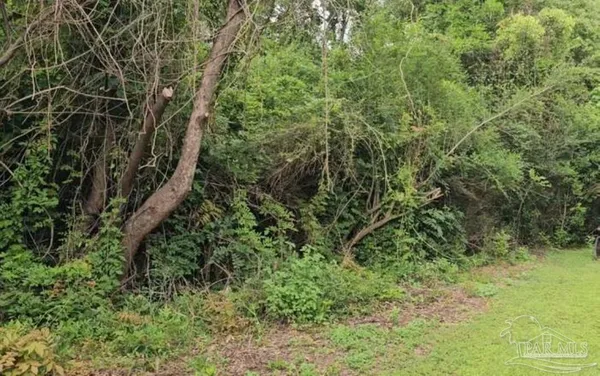 $25,000 | 70 Juniper Street, McDavid, FL 32568