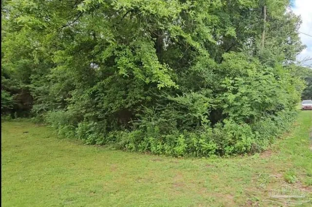 a view of a green yard