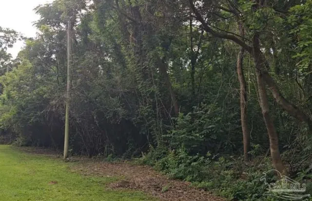 a view of outdoor space and view of trees