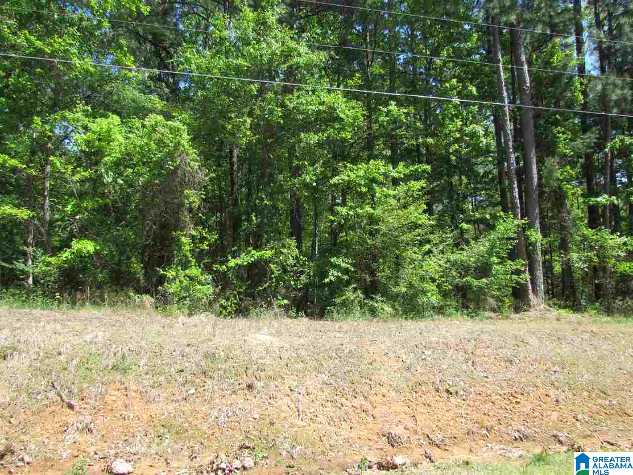1455 Mountain Top Loop Road Pell City, AL 35128 - Photo 1 of 3