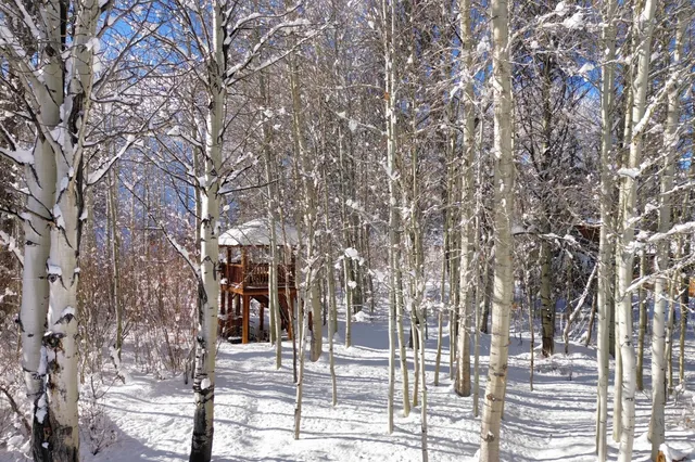 $5,450,000 | 225 Eagle Creek Loop, Blaine County, ID 83340