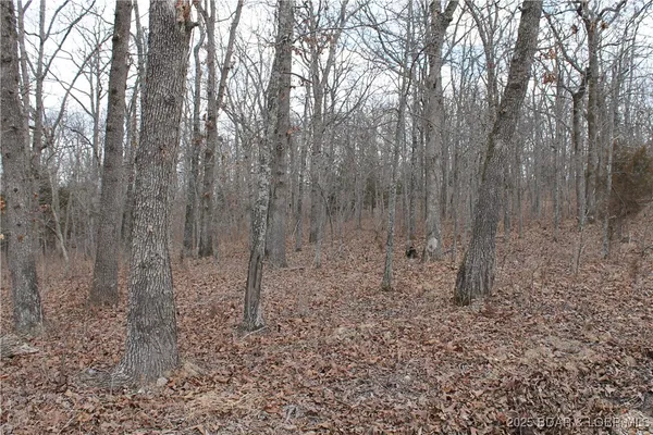 $6,750 | Kip Drive, Unit 1632, Edwards, MO 65326