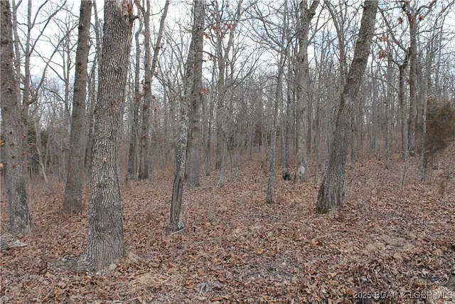 $6,750 | Kip Drive, Unit 1632, Edwards, MO 65326