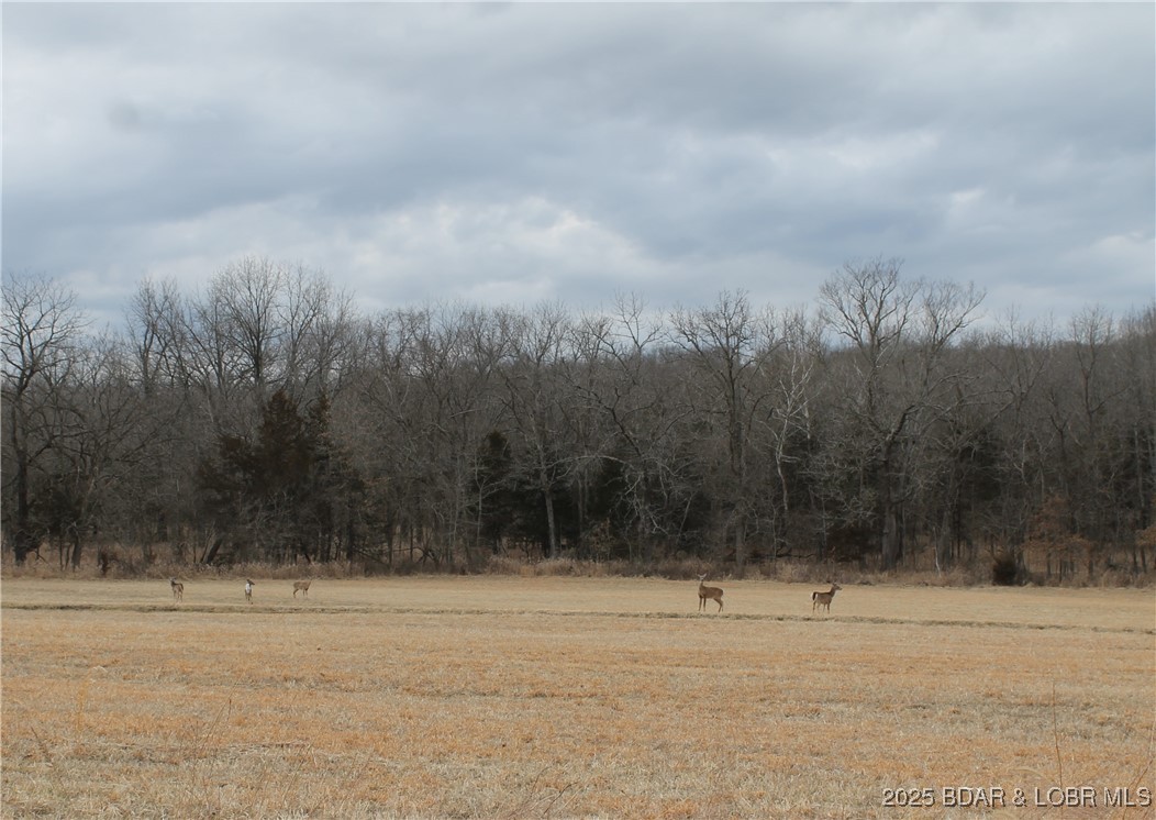 Kip Drive, Unit 1632 Edwards, MO 65326 - Photo 3 of 10 An abundance of deer to enjoy watching