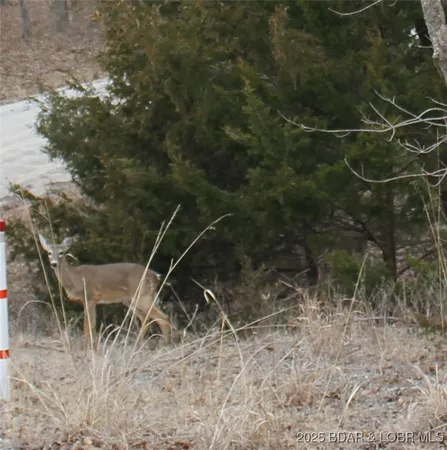 $6,250 | Kip Drive, Unit 1632, Edwards, MO 65326