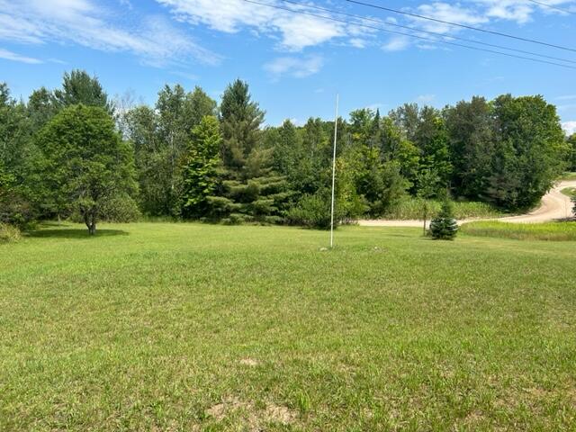 10064 Huffman Lake Road Vanderbilt, MI 49795 - Photo 16 of 26 Gallery Image 16