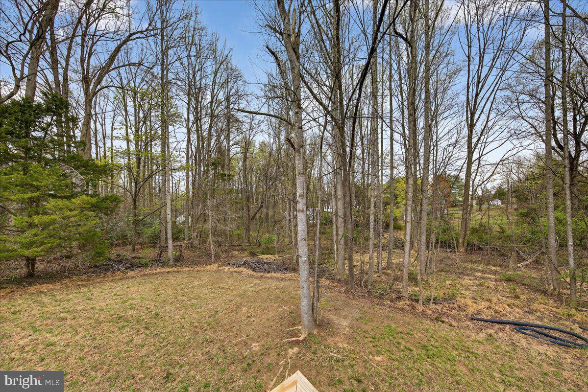 66 Ordinary Road Mineral, VA 23117 - Photo 47 of 96