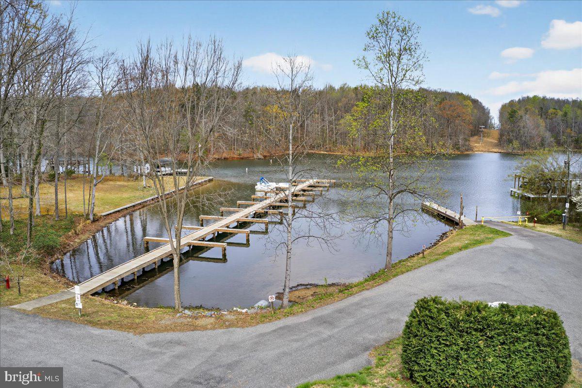 66 Ordinary Road Mineral, VA 23117 - Photo 94 of 96 a view of a swimming pool with a lake view