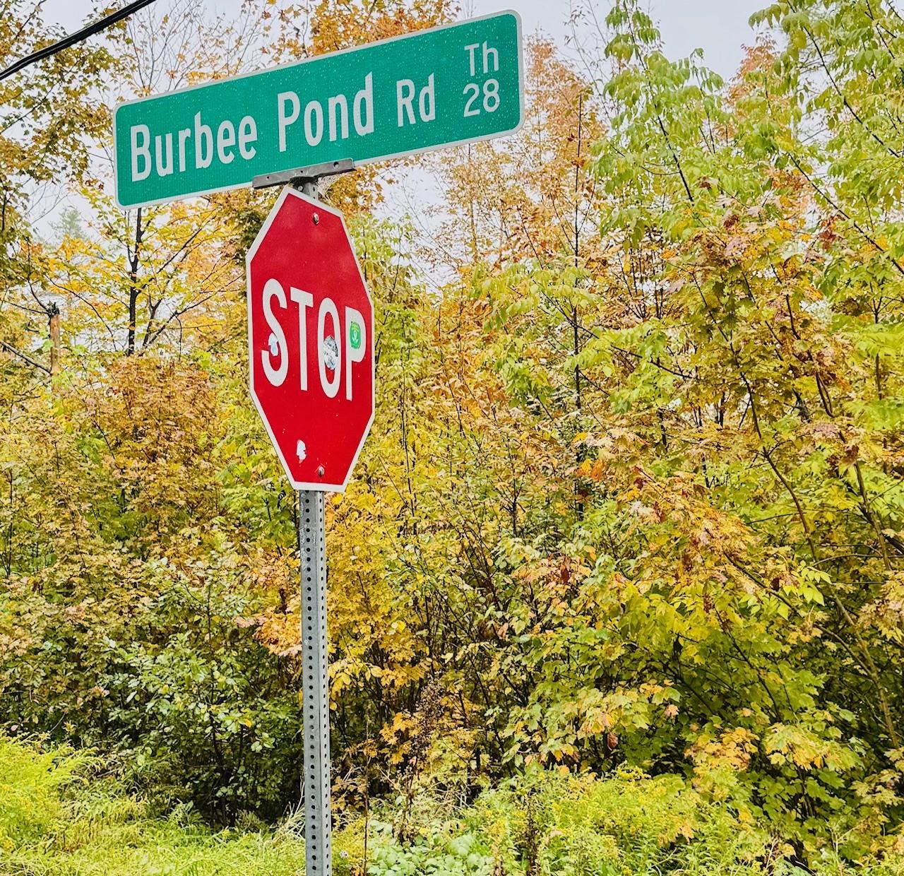 715 Chase Road Windham, VT 05359 - Photo 48 of 50