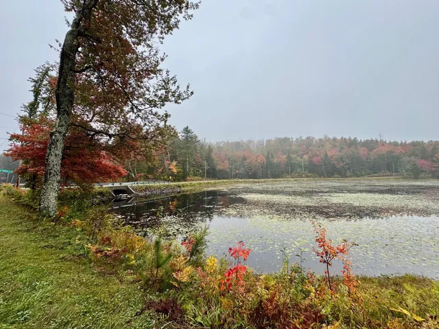 $425,000 | 715 Chase Road, Windham, VT 05359