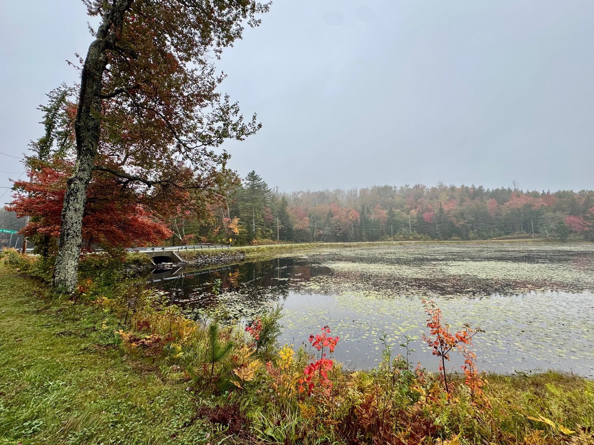 715 Chase Road Windham, VT 05359 - Photo 50 of 50
