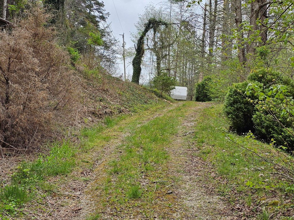409 Vengeance Creek Road Marble, NC 28905 - Photo 3 of 22