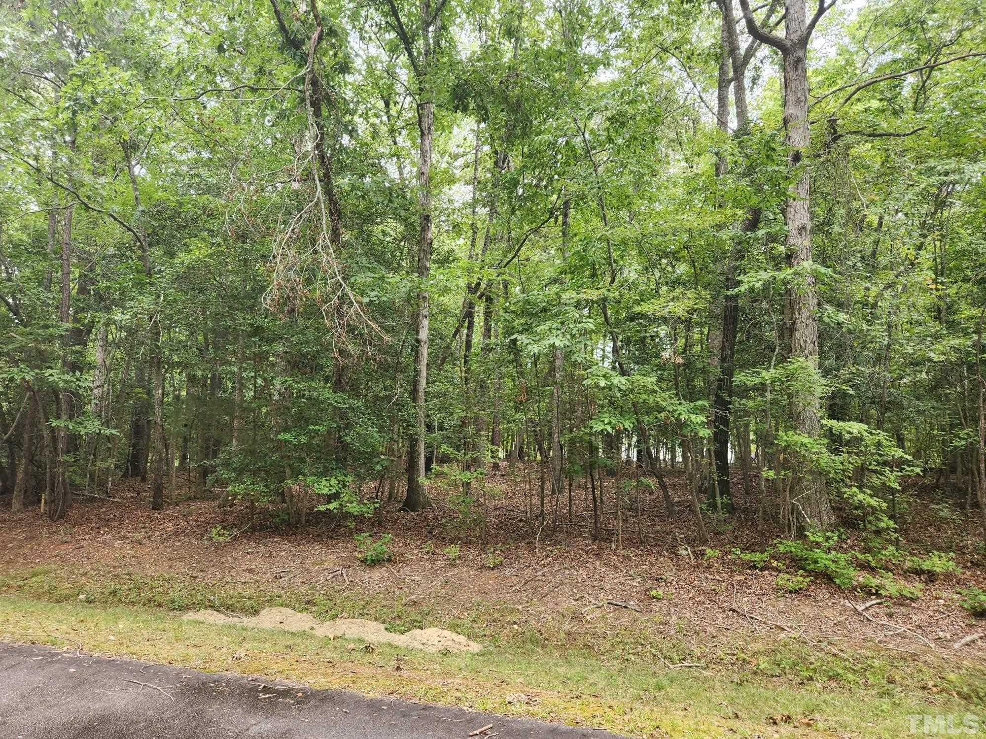 147 Shaman Drive Spring Hope, NC 27882 - Photo 1 of 5 a view of a forest with trees in the background