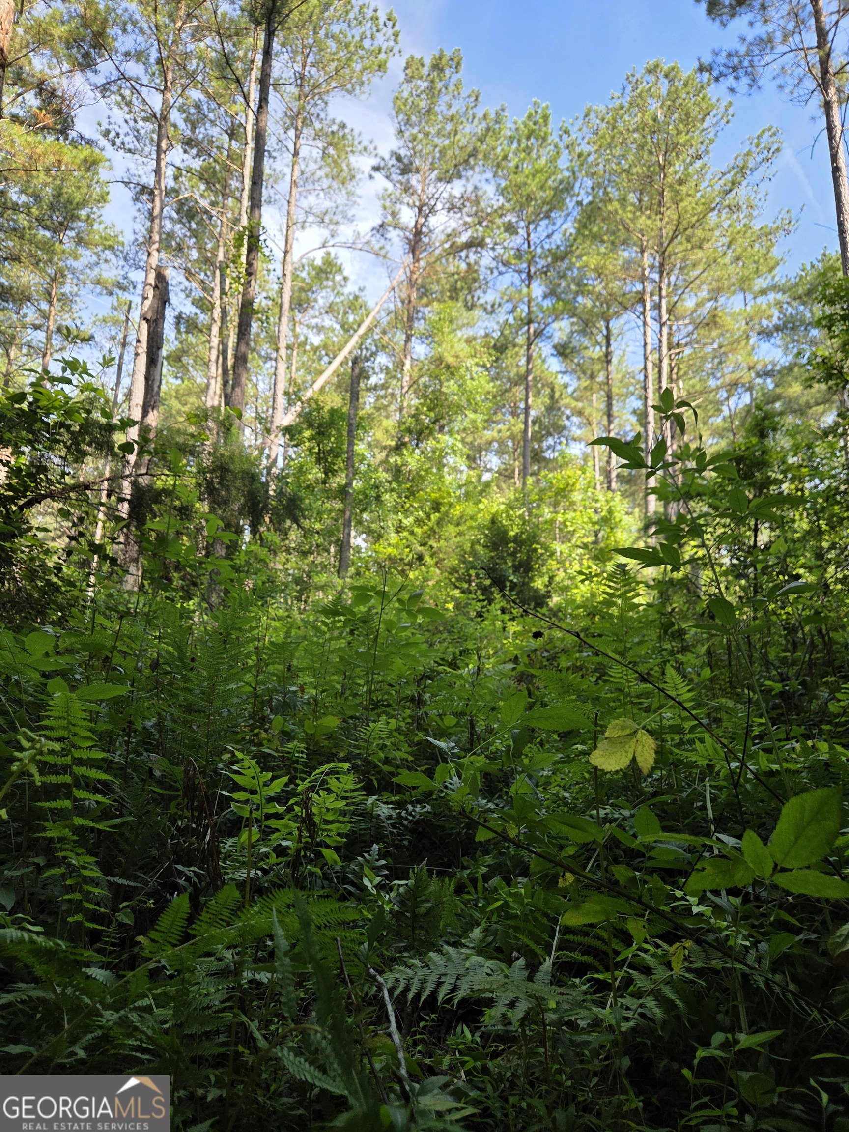 -perkins Road Perkins Road Barnesville, GA 30204 - Photo 7 of 10