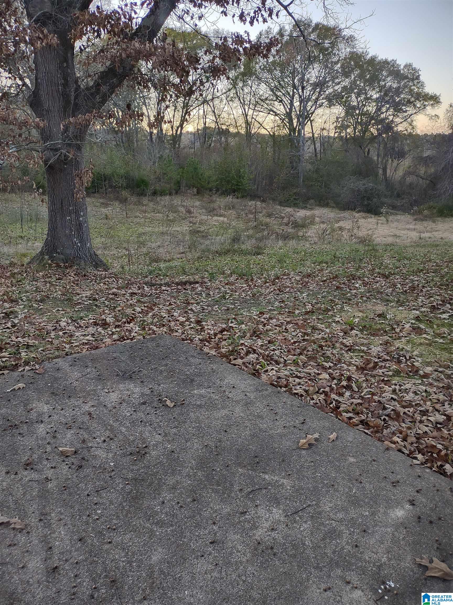 1419 Pelham Street Anniston, AL 36201 - Photo 51 of 67