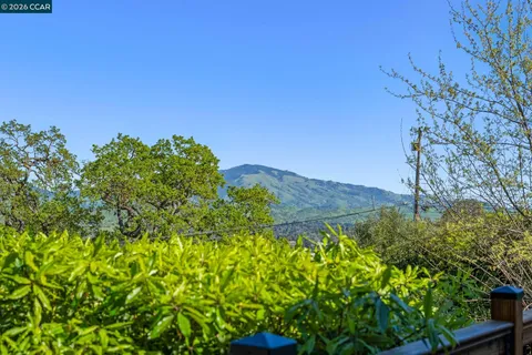a view of a lush green field with some trees in the background