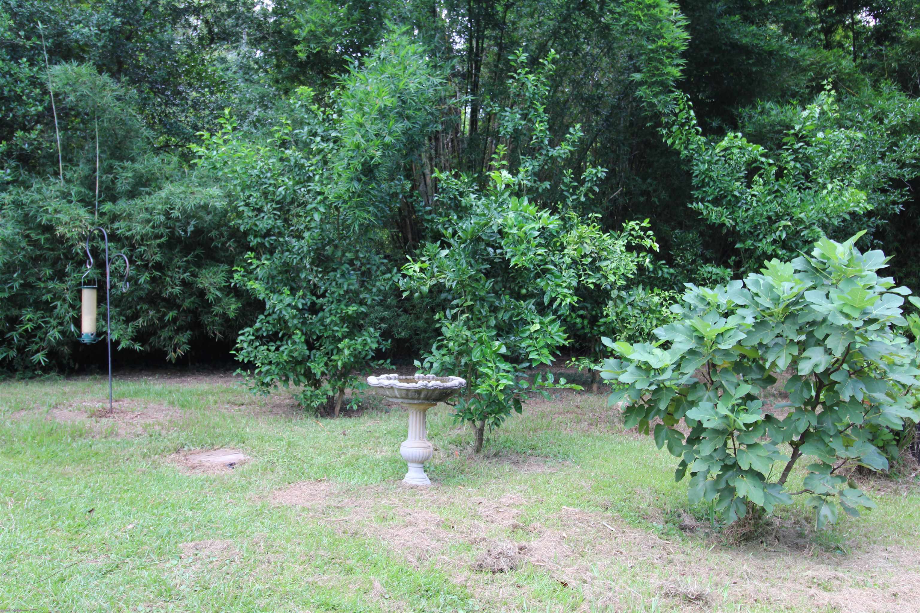 3823 Bell Road Tallahassee, FL 32303 - Photo 29 of 31 Gallery Image 29