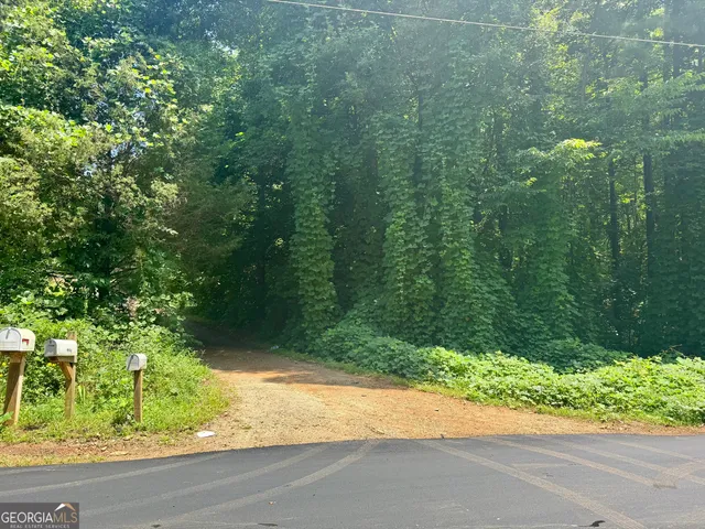 a view of a yard and a street