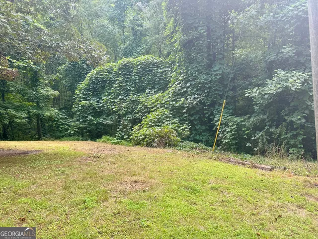 a view of outdoor space and yard