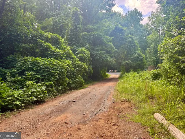 a view of a garden with plants