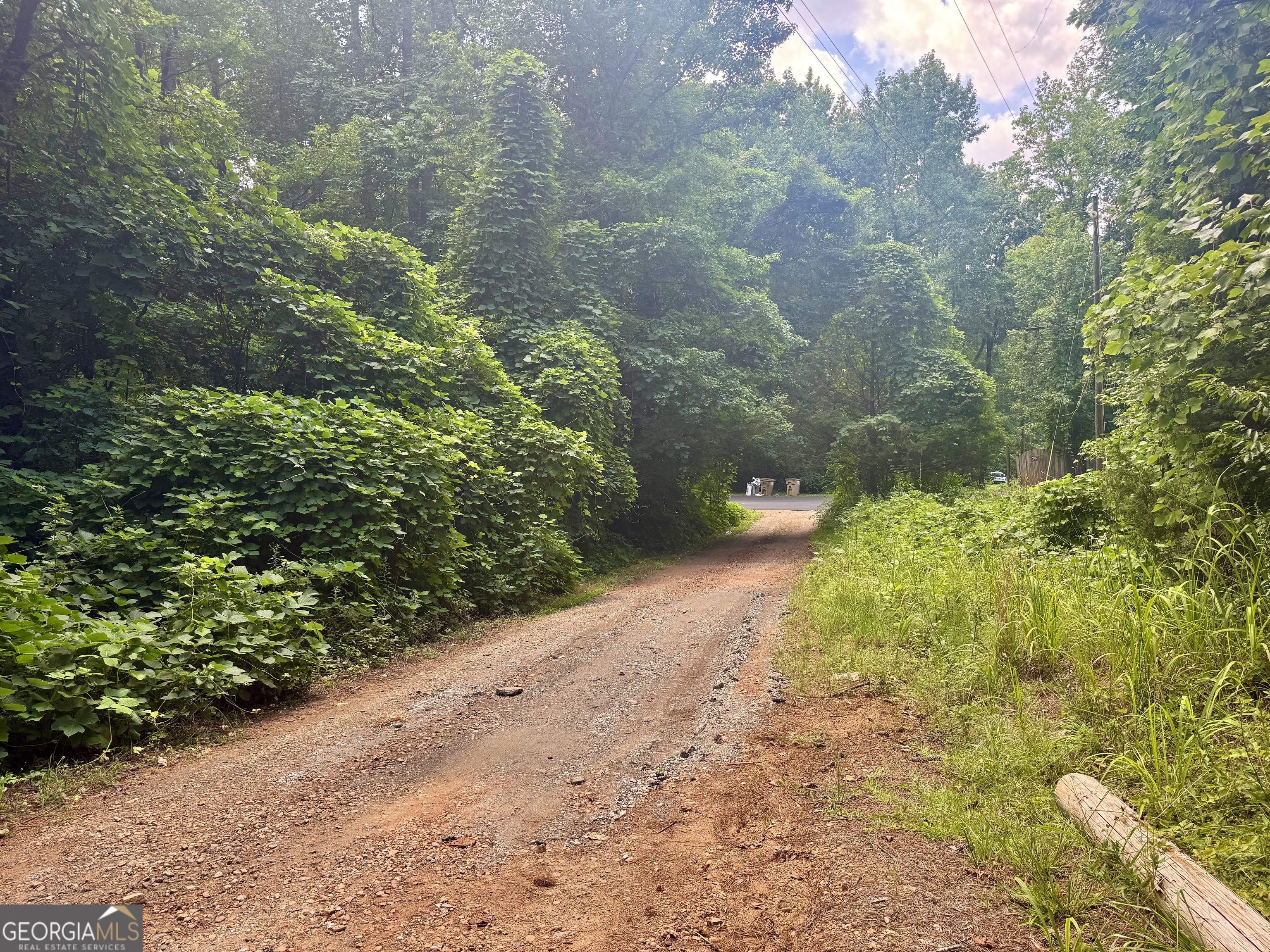 5324 Robin Trail Braselton, GA 30517 - Photo 7 of 10 a view of a garden with plants