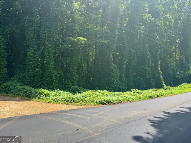 a view of a bunch of trees and a street