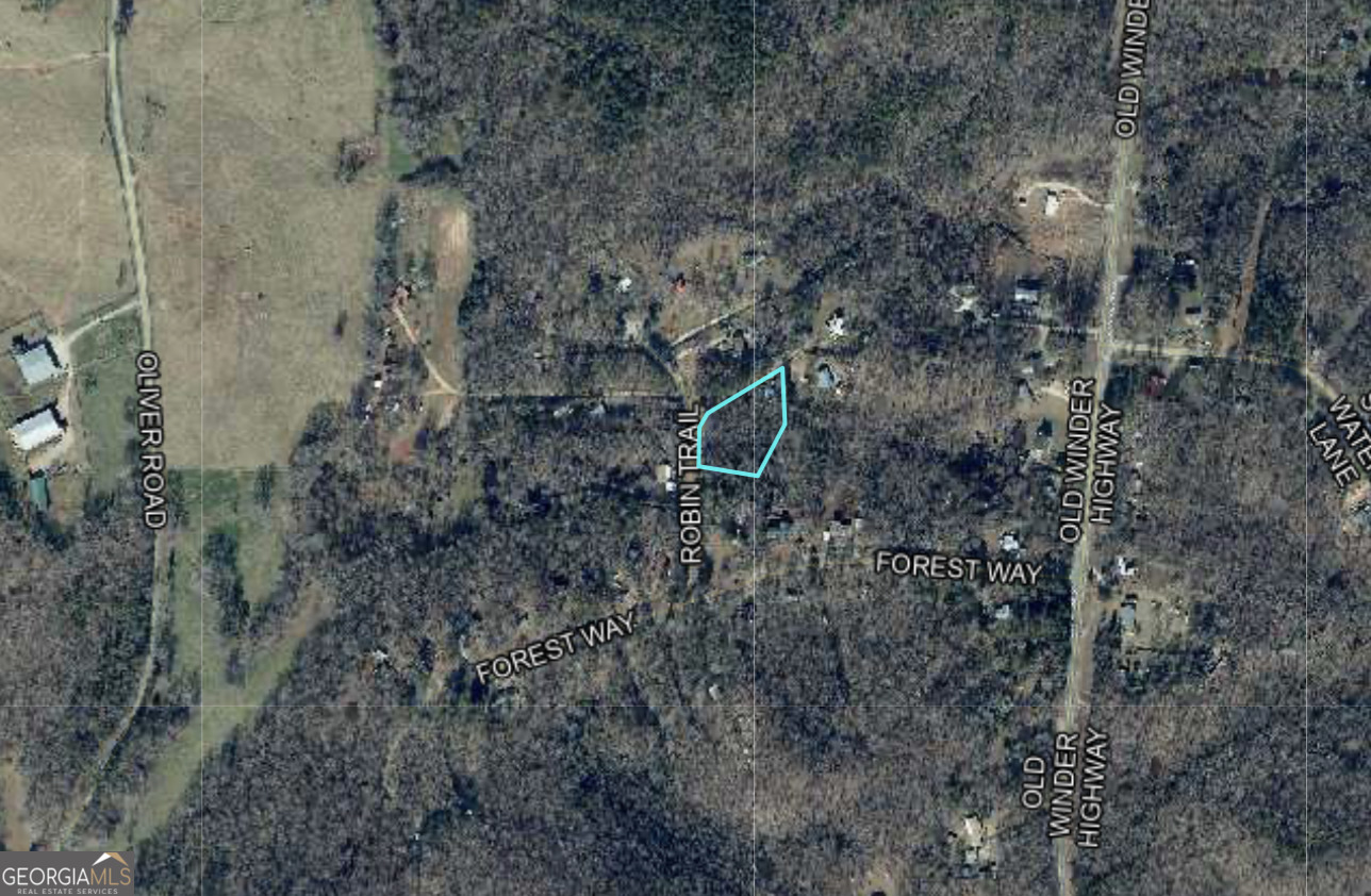 5324 Robin Trail Braselton, GA 30517 - Photo 10 of 10 a aerial view of a house with lots of trees