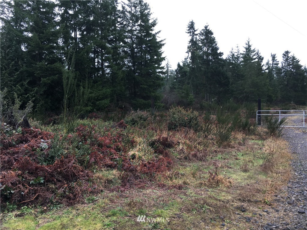 68 Underline Road Belfair, WA 98528 - Photo 1 of 10 Gallery Image 1