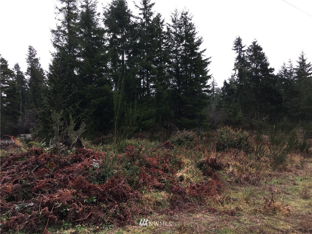 68 Underline Road Belfair, WA 98528 - Photo 2 of 10 Gallery Image 2