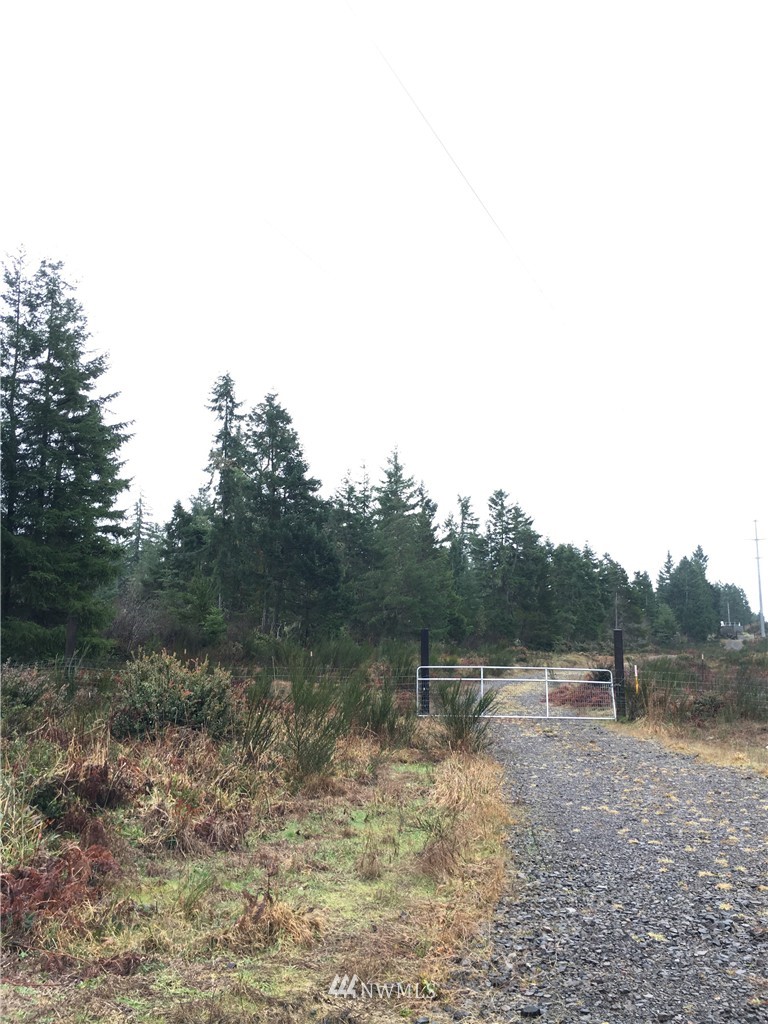 68 Underline Road Belfair, WA 98528 - Photo 3 of 10 Gallery Image 3
