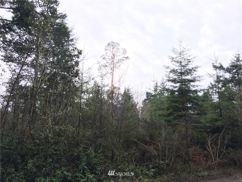 68 Underline Road Belfair, WA 98528 - Photo 5 of 10 Gallery Image 5