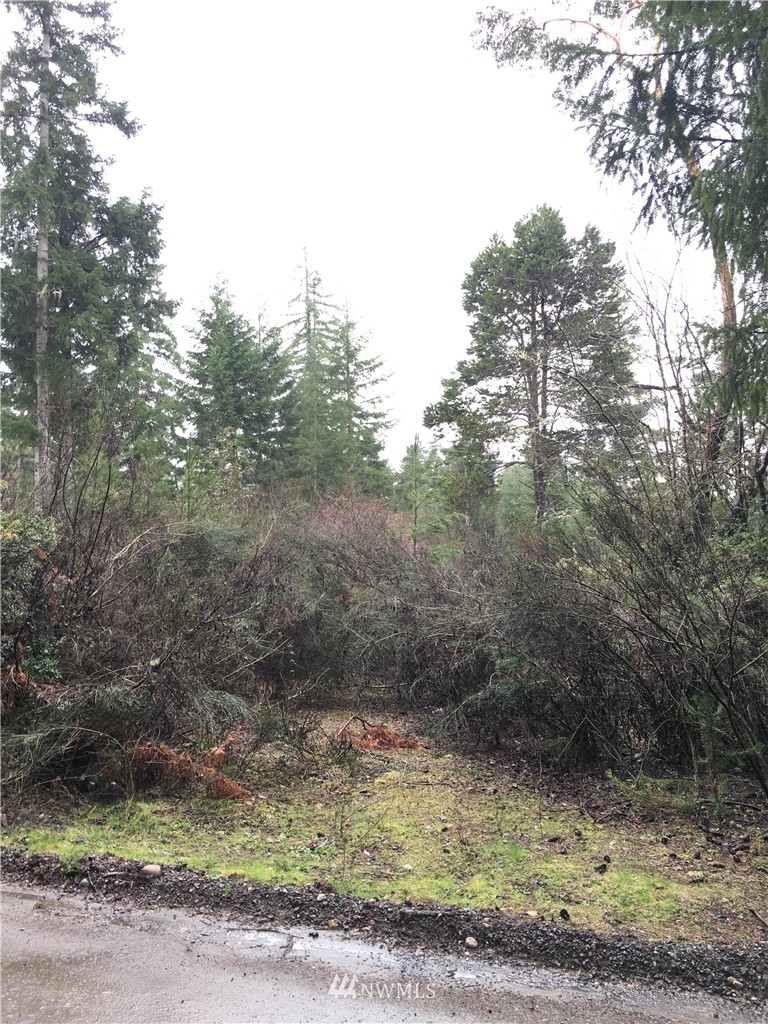 68 Underline Road Belfair, WA 98528 - Photo 6 of 10 Gallery Image 6
