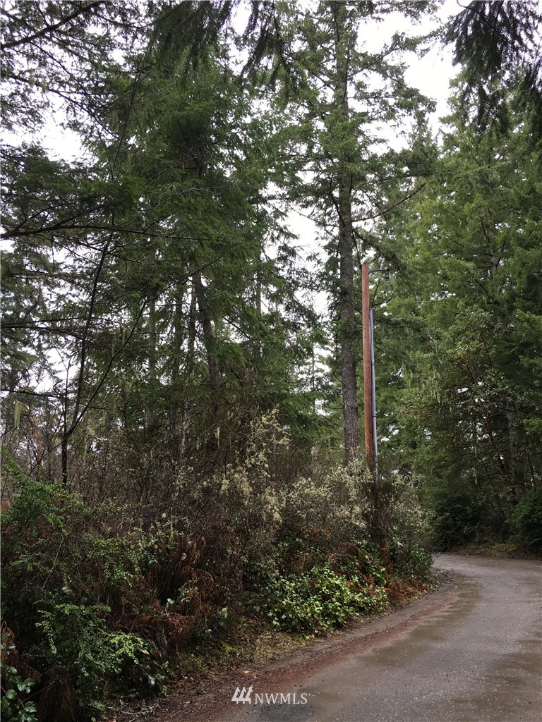 68 Underline Road Belfair, WA 98528 - Photo 8 of 10 Gallery Image 8