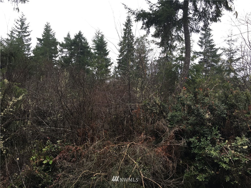 68 Underline Road Belfair, WA 98528 - Photo 10 of 10 Gallery Image 10