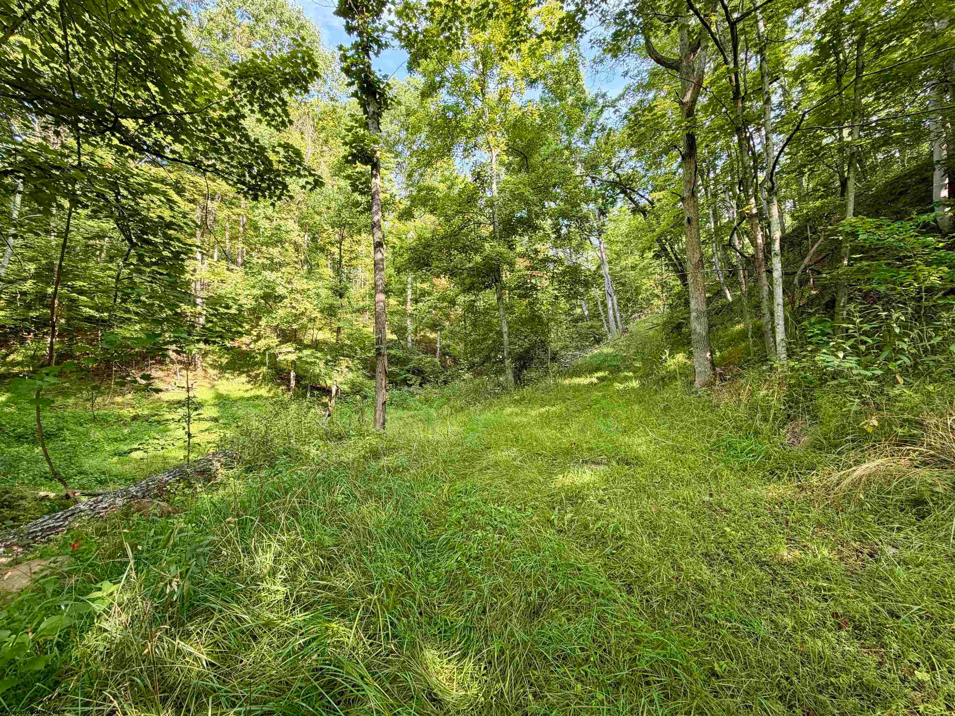 0 Parkersburg Road Ripley, WV 25271 - Photo 19 of 28 Gallery Image 19