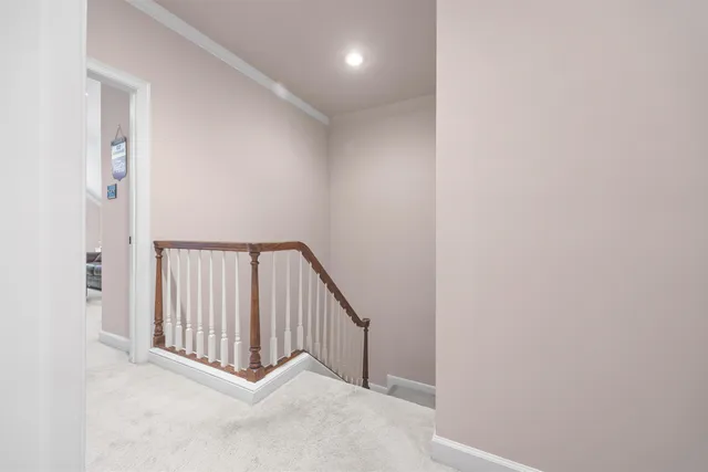 a view of a park with large trees