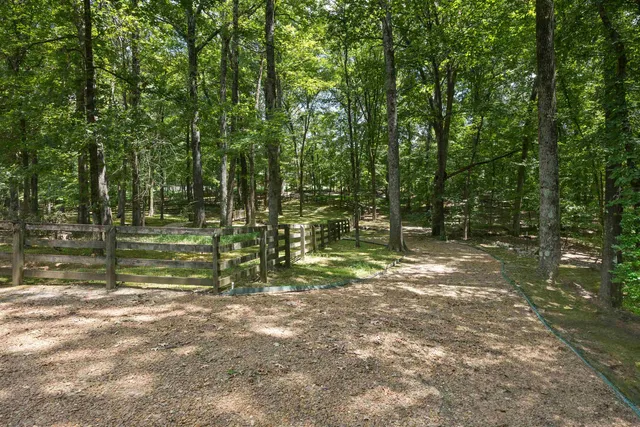 a view of a yard with a tree