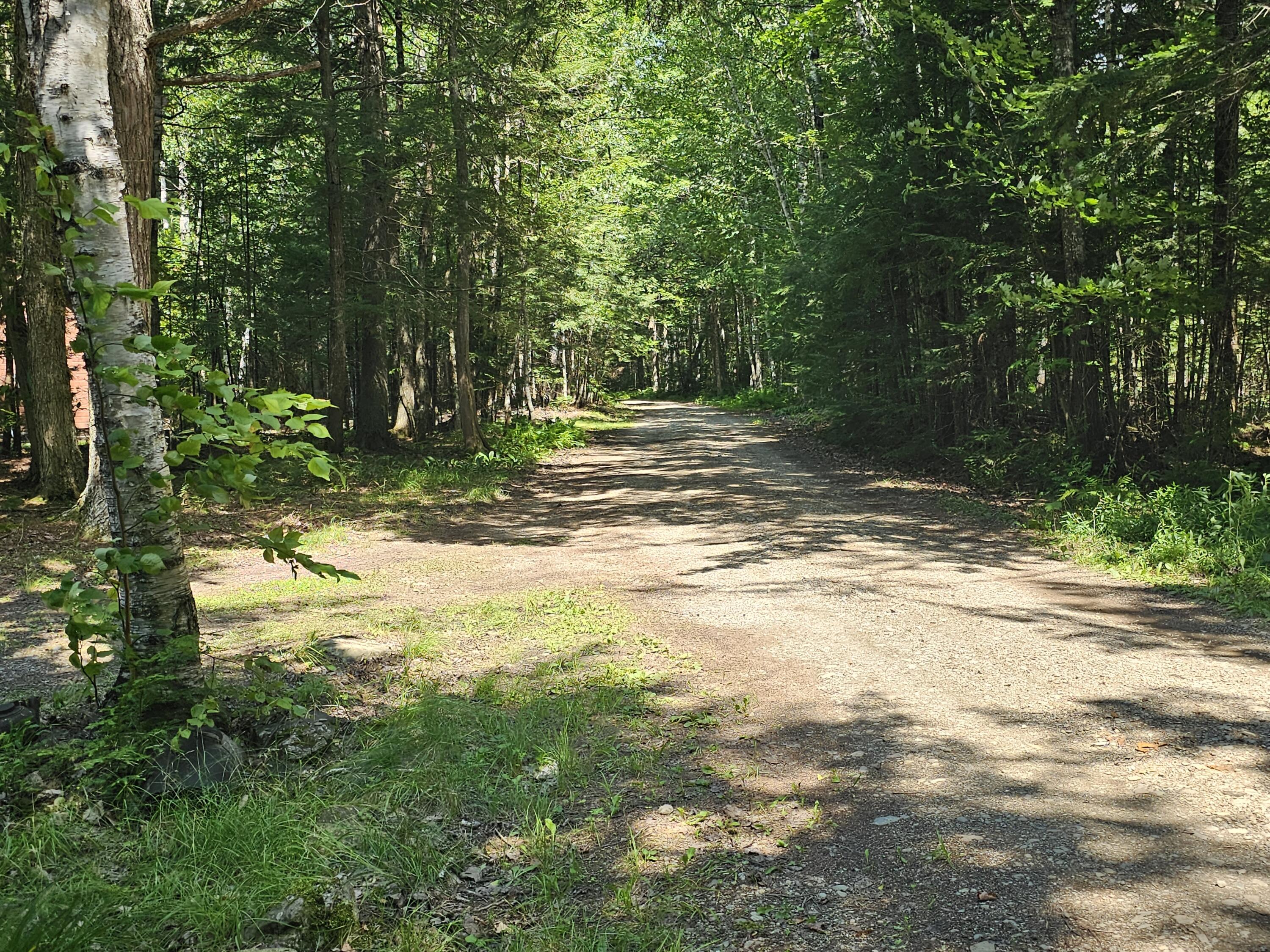 L7 South Molunkus Lake Road Mattawamkeag, ME 04459 - Photo 39 of 41 20230806_113851