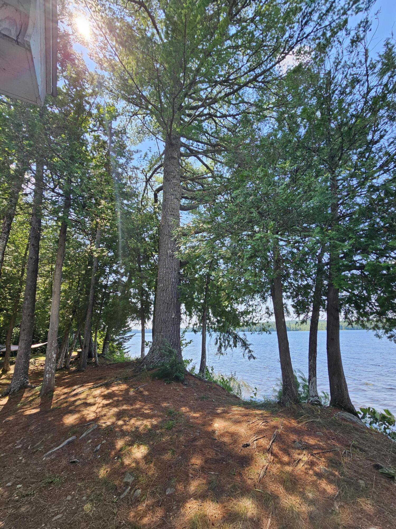 L7 South Molunkus Lake Road Mattawamkeag, ME 04459 - Photo 40 of 41 20230806_115046