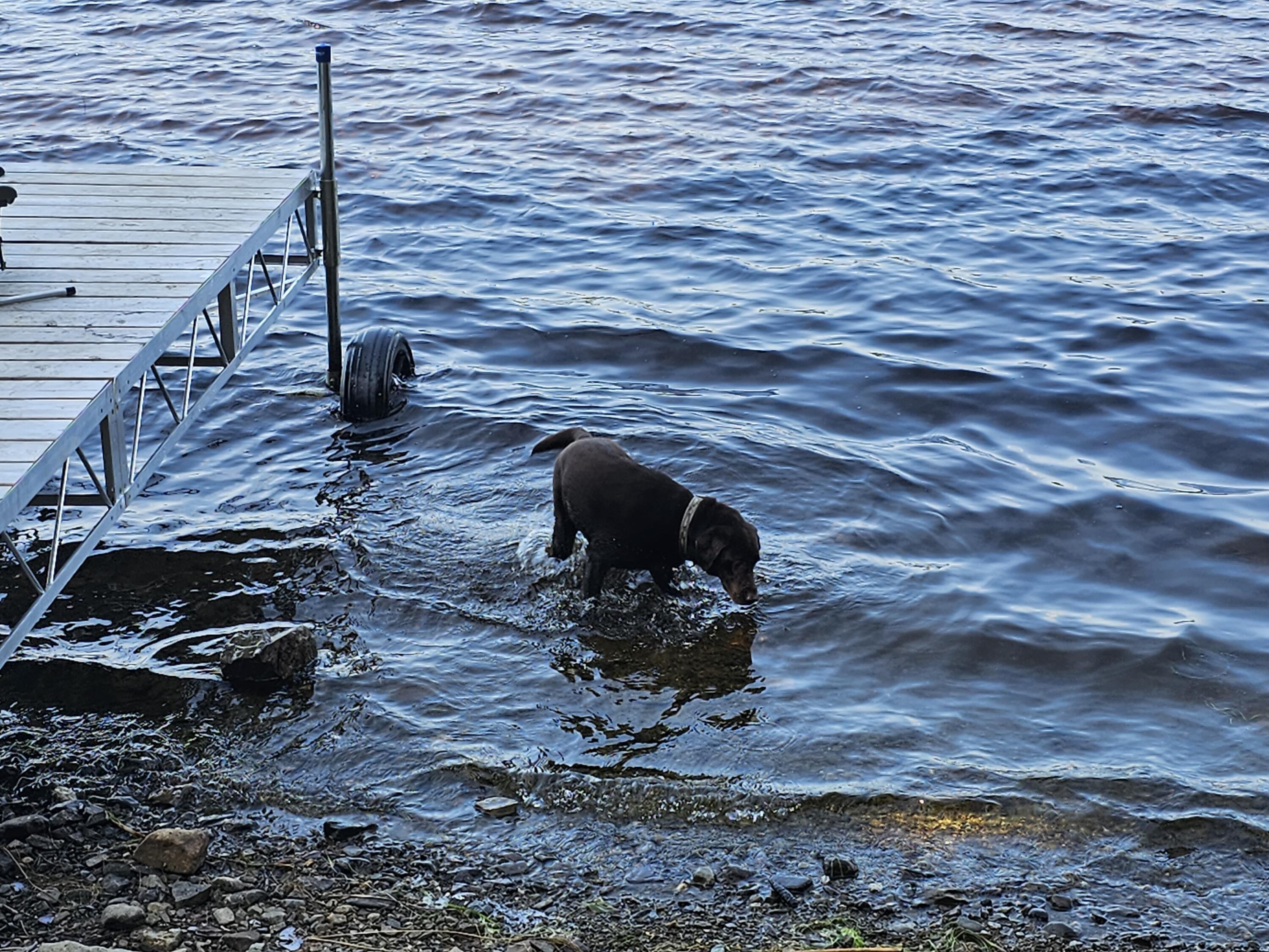 L7 South Molunkus Lake Road Mattawamkeag, ME 04459 - Photo 4 of 41 20230806_111224