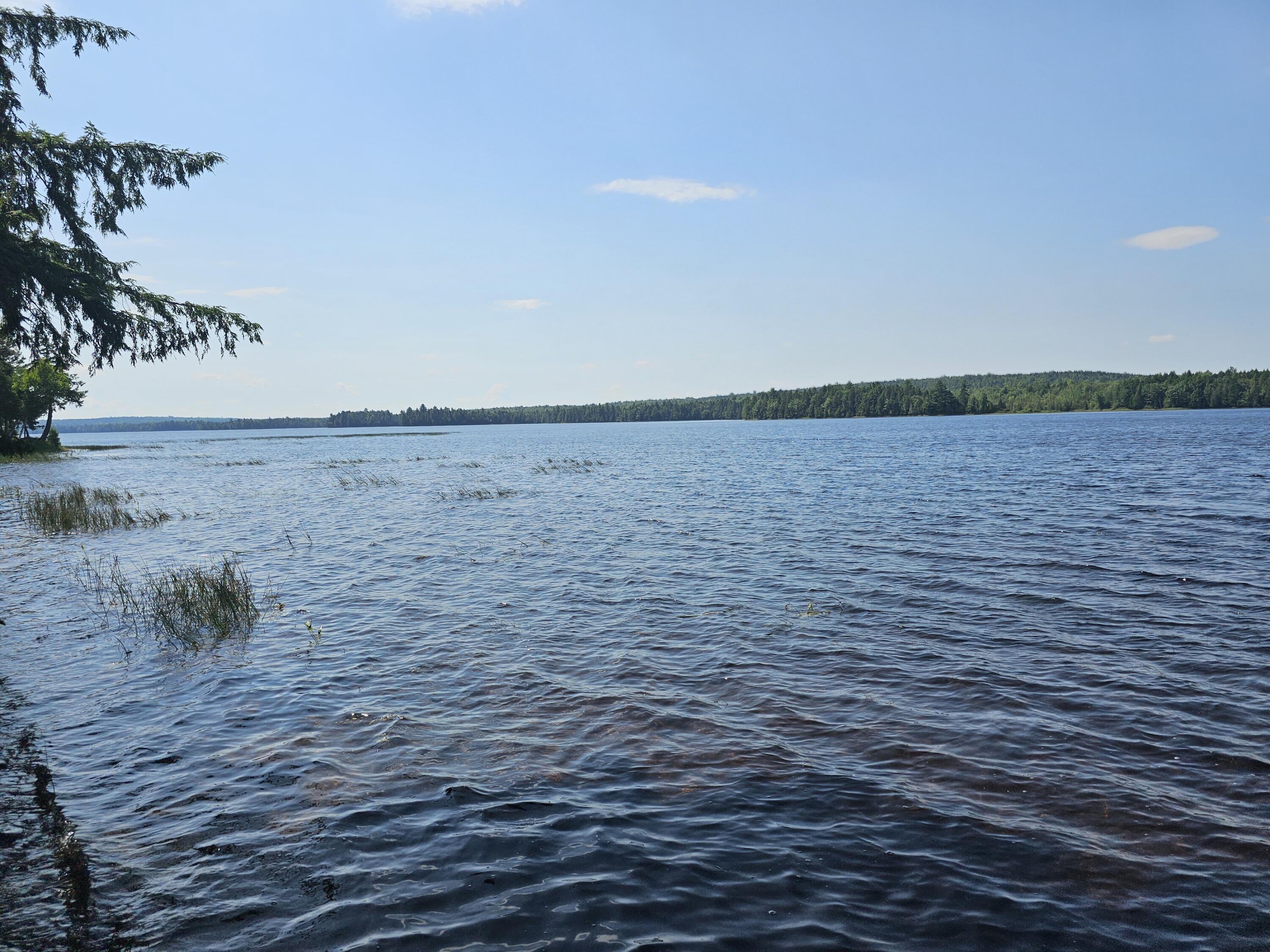 L7 South Molunkus Lake Road Mattawamkeag, ME 04459 - Photo 6 of 41 20230806_111402