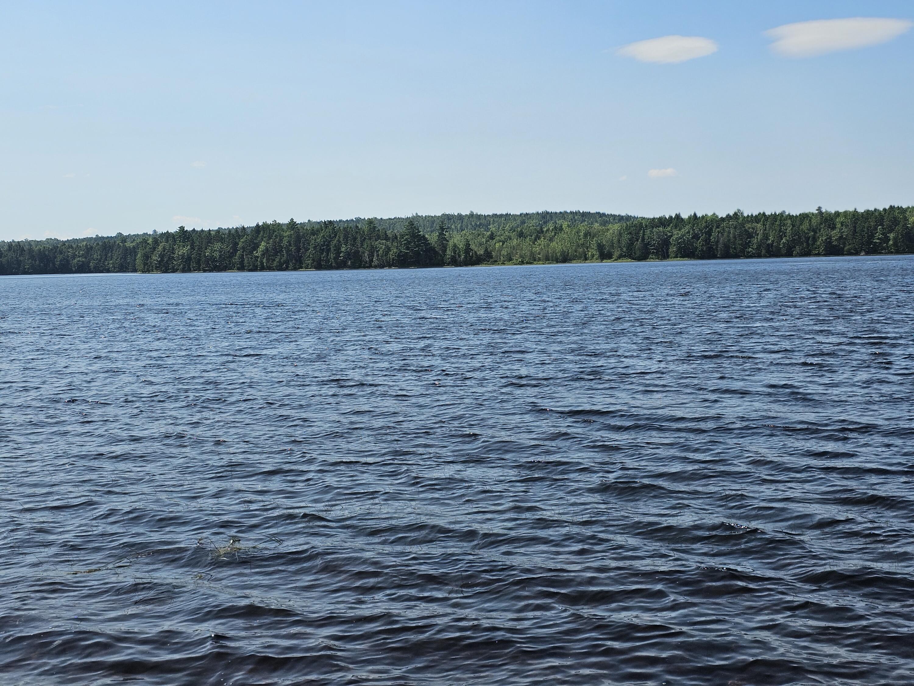 L7 South Molunkus Lake Road Mattawamkeag, ME 04459 - Photo 7 of 41 20230806_111408