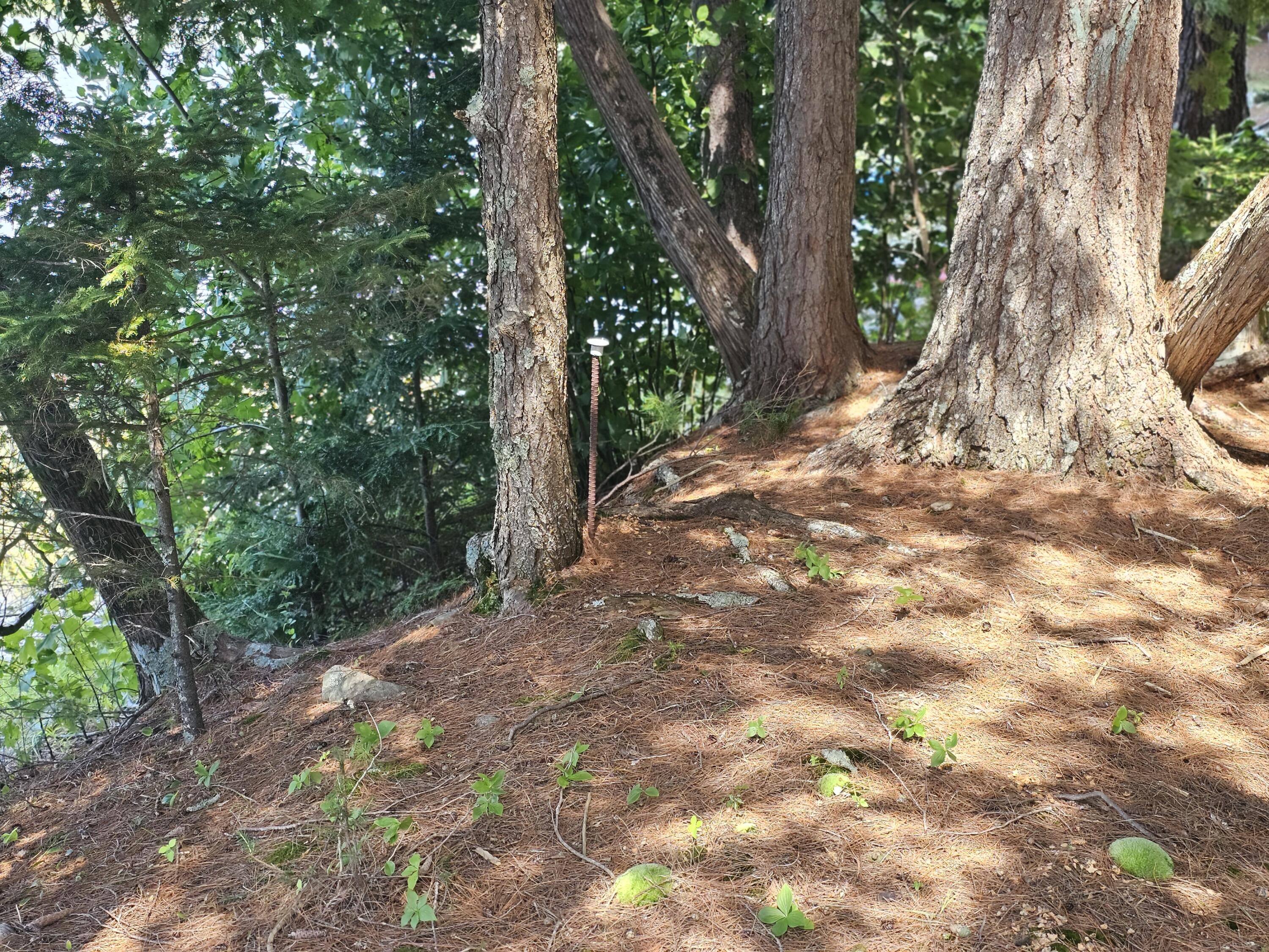 L7 South Molunkus Lake Road Mattawamkeag, ME 04459 - Photo 8 of 41 20230806_111811