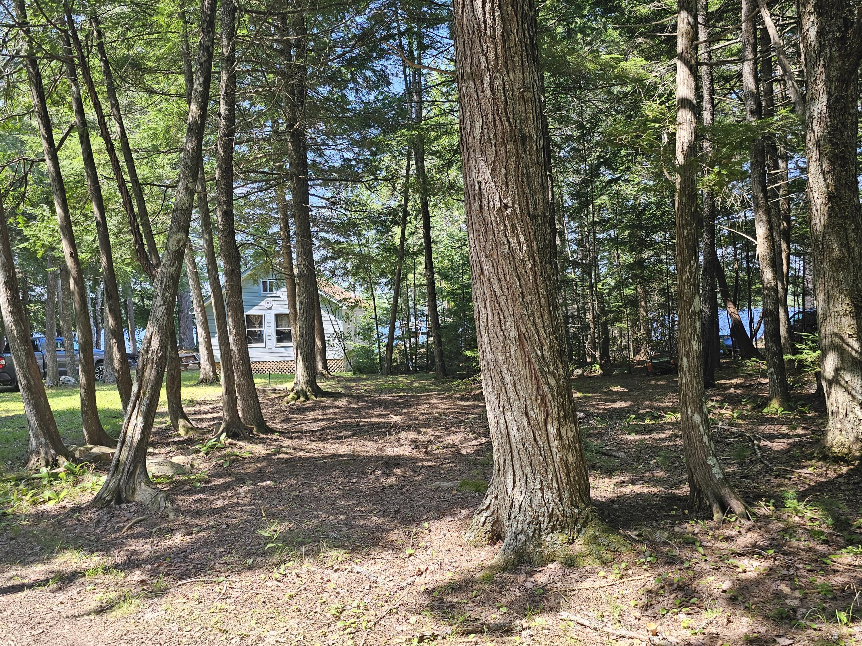 L7 South Molunkus Lake Road Mattawamkeag, ME 04459 - Photo 10 of 41 20230806_112459