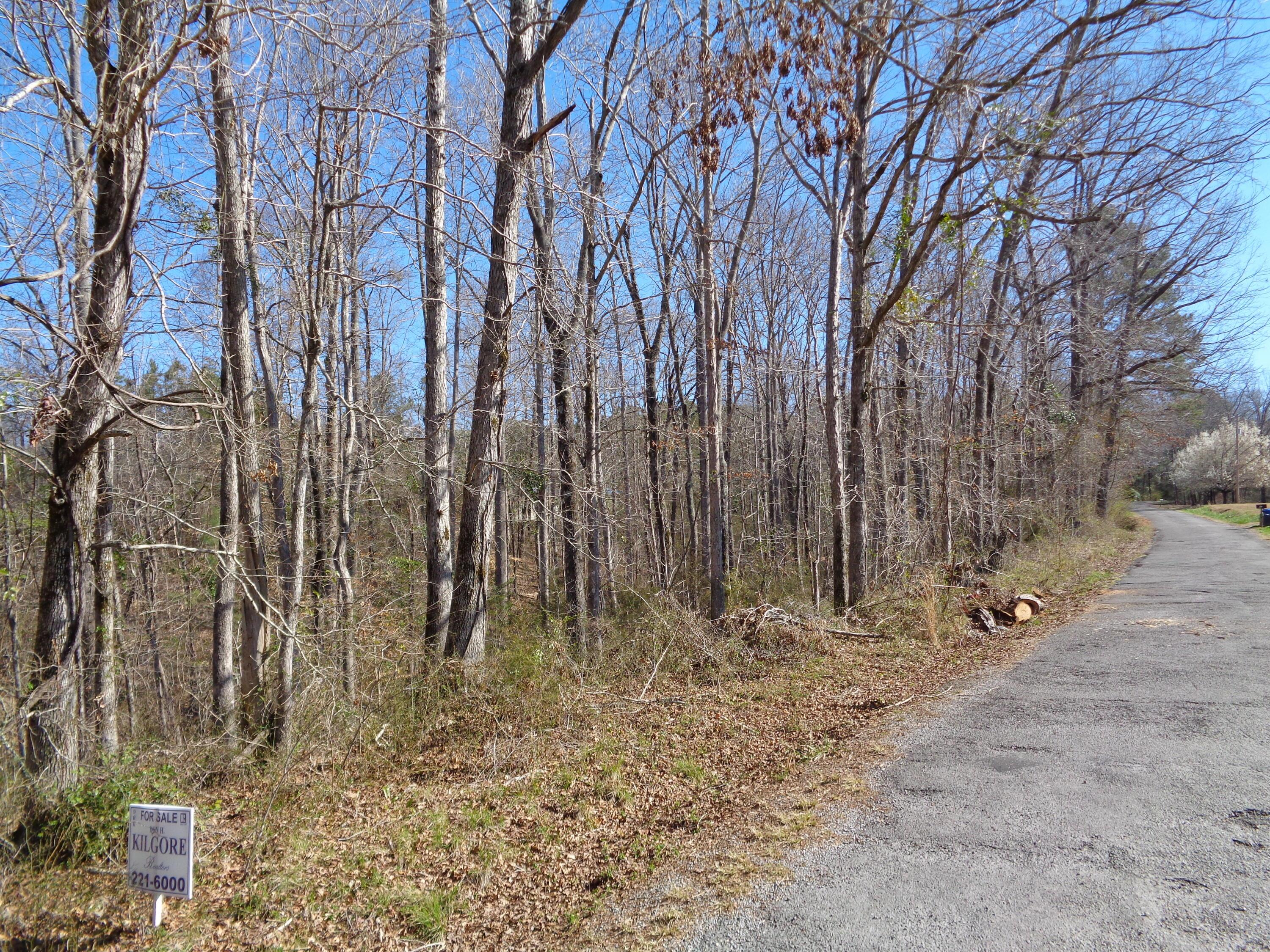3969 Co Road Arley, AL 35541 - Photo 1 of 1 Gallery Image 1