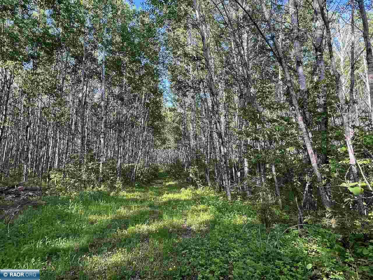 Tbd Willow River Road Orr, MN 55771 - Photo 9 of 15